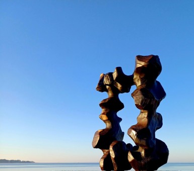 Paréidolie V